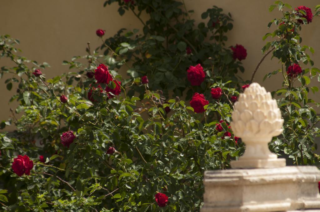Masseria Damma Case Monterosso